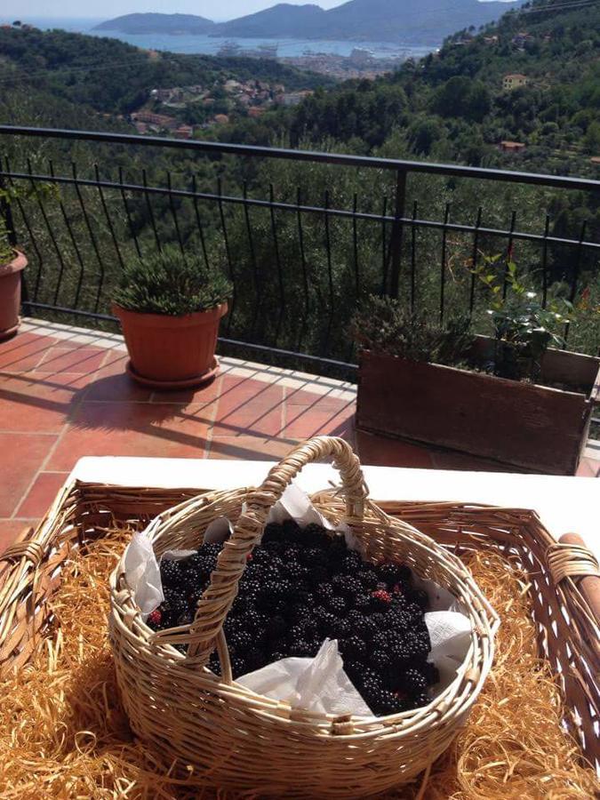 Agriturismo Oliva Azzurra Βίλα Valeriano Lunense Εξωτερικό φωτογραφία